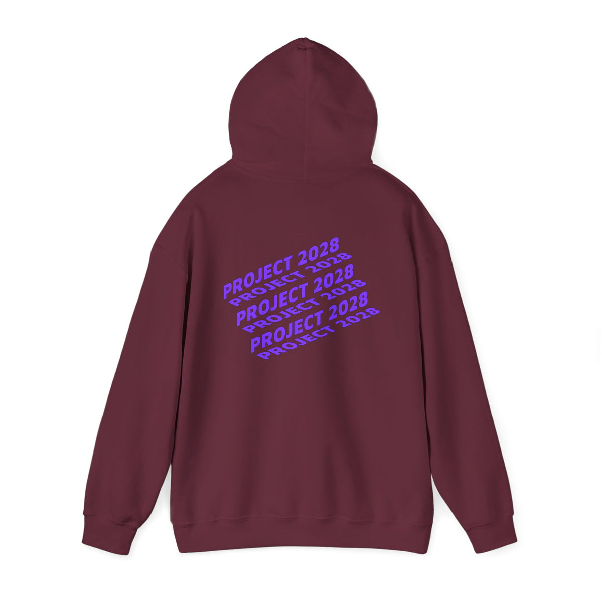 Project 2028 Hoodie | Social Justice
