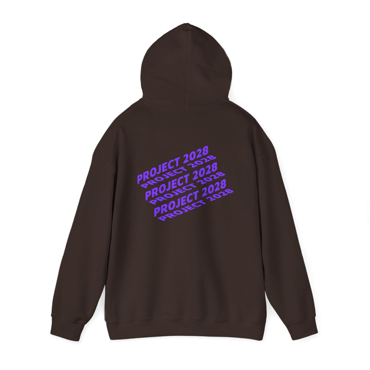 Project 2028 Hoodie | Social Justice