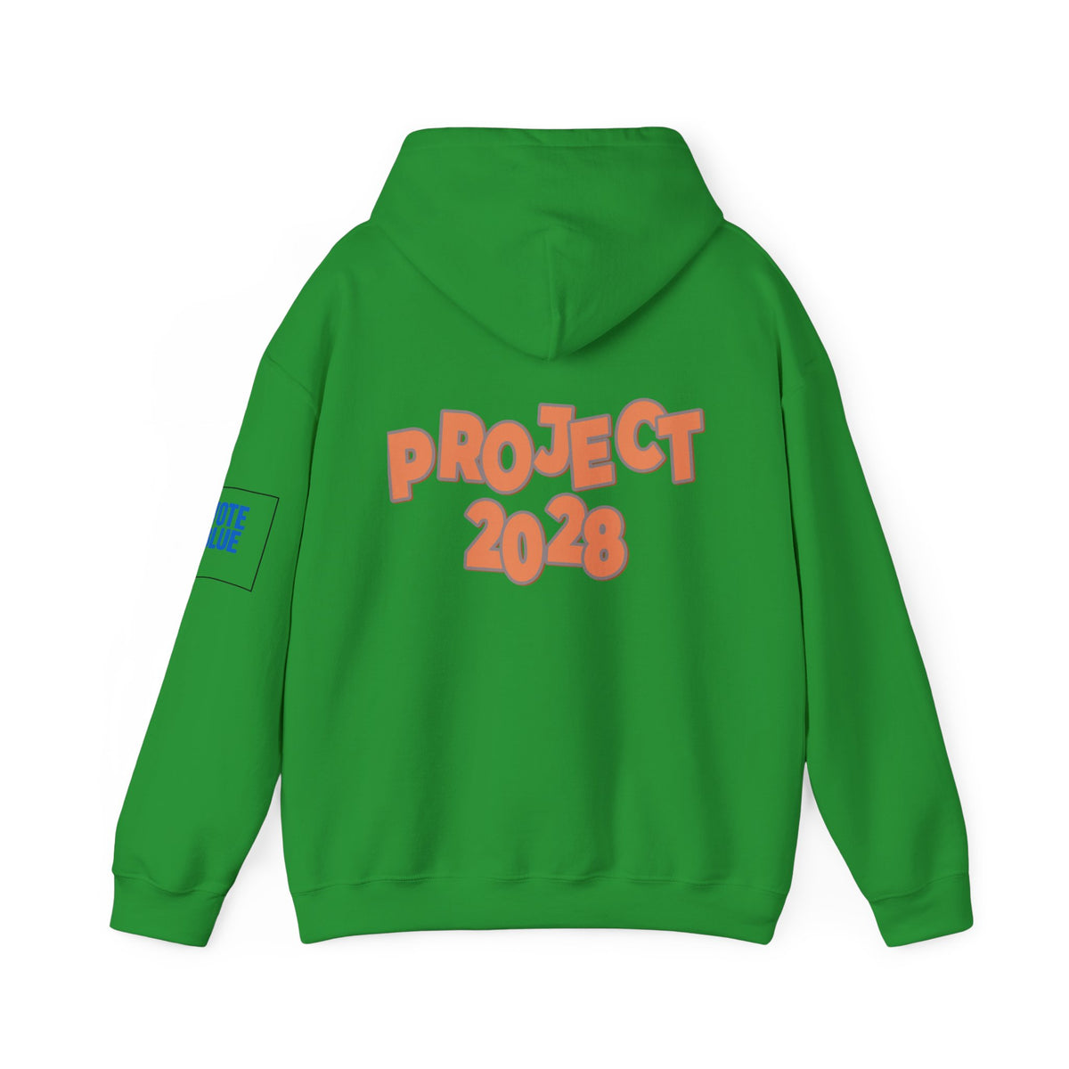 Protect Democracy Project 2028 Hoodie | Social Awareness