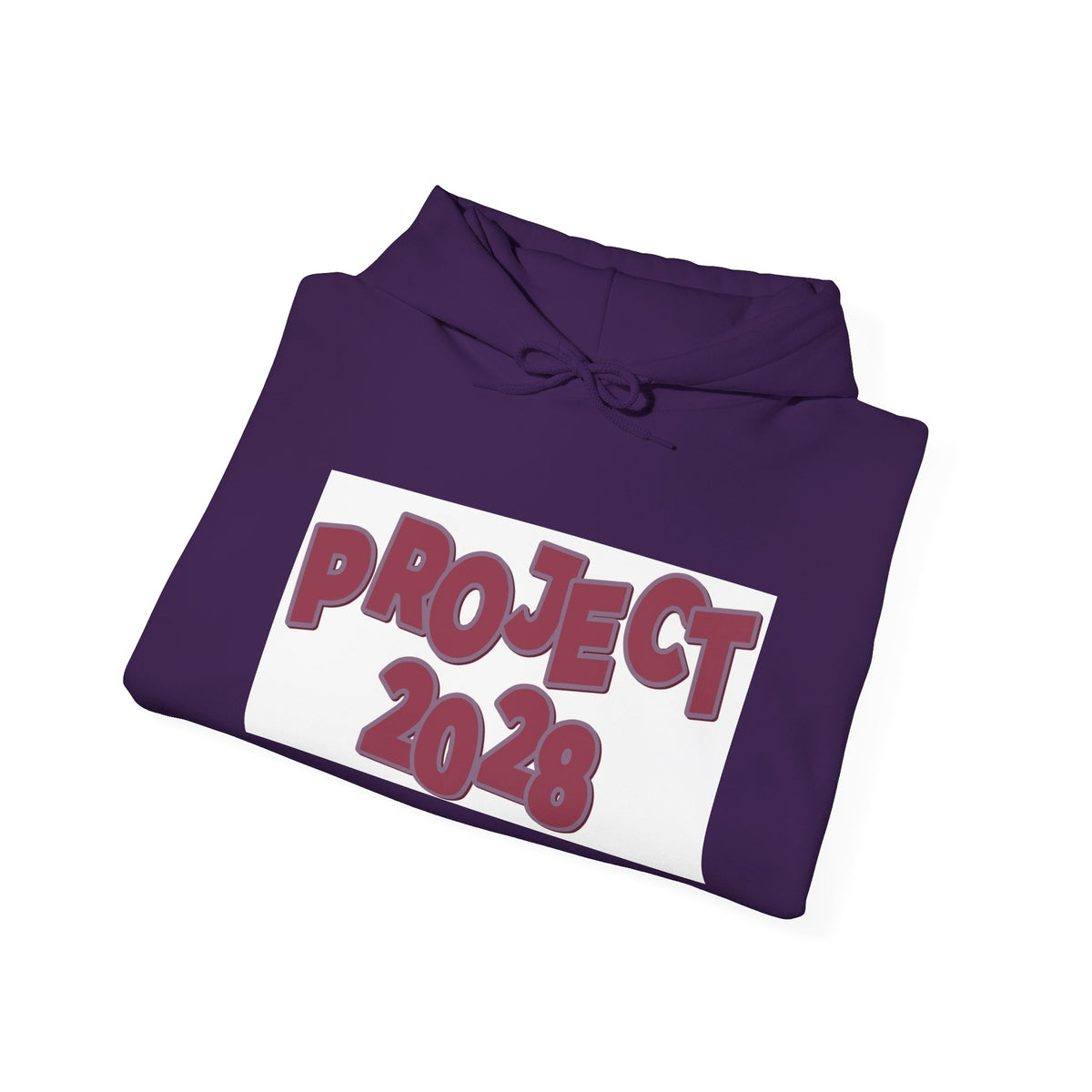 Project 2028 hoodie | Democracy Isn't Automatic back print