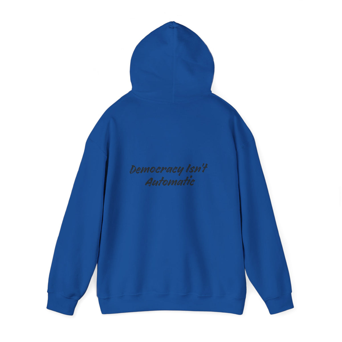 Protect Democracy Project 2028 Hoodie | democracy text design