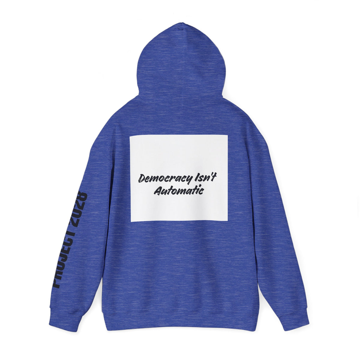 Protect Democracy Project 2028 Hoodie | Social Awareness