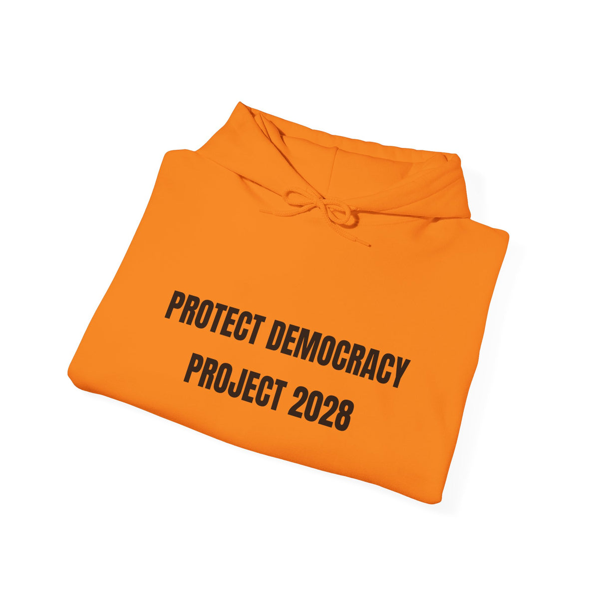 Protect Democracy Project 2028 Hoodie | Social Awareness
