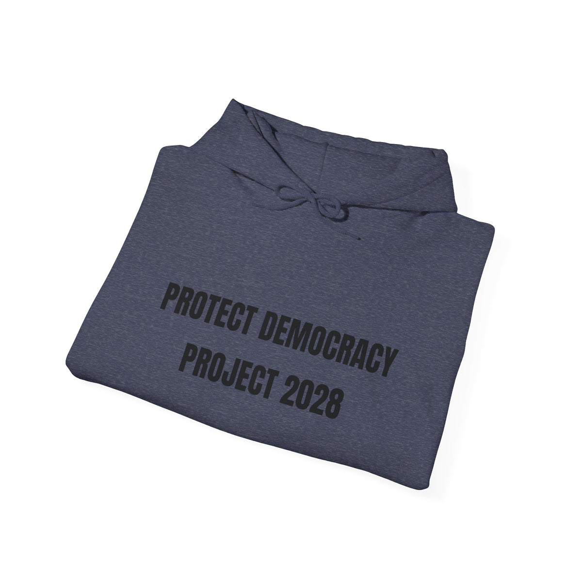 Protect Democracy Project 2028 Hoodie | Social Awareness