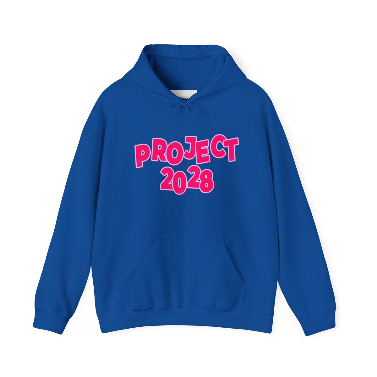 Project 2028 Hoodie | Democracy | Civic Duty