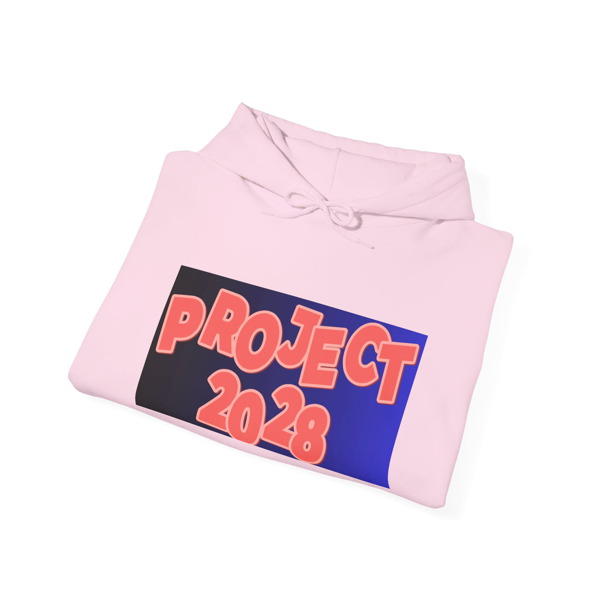 Project 2028 Hoodie | Social Justice