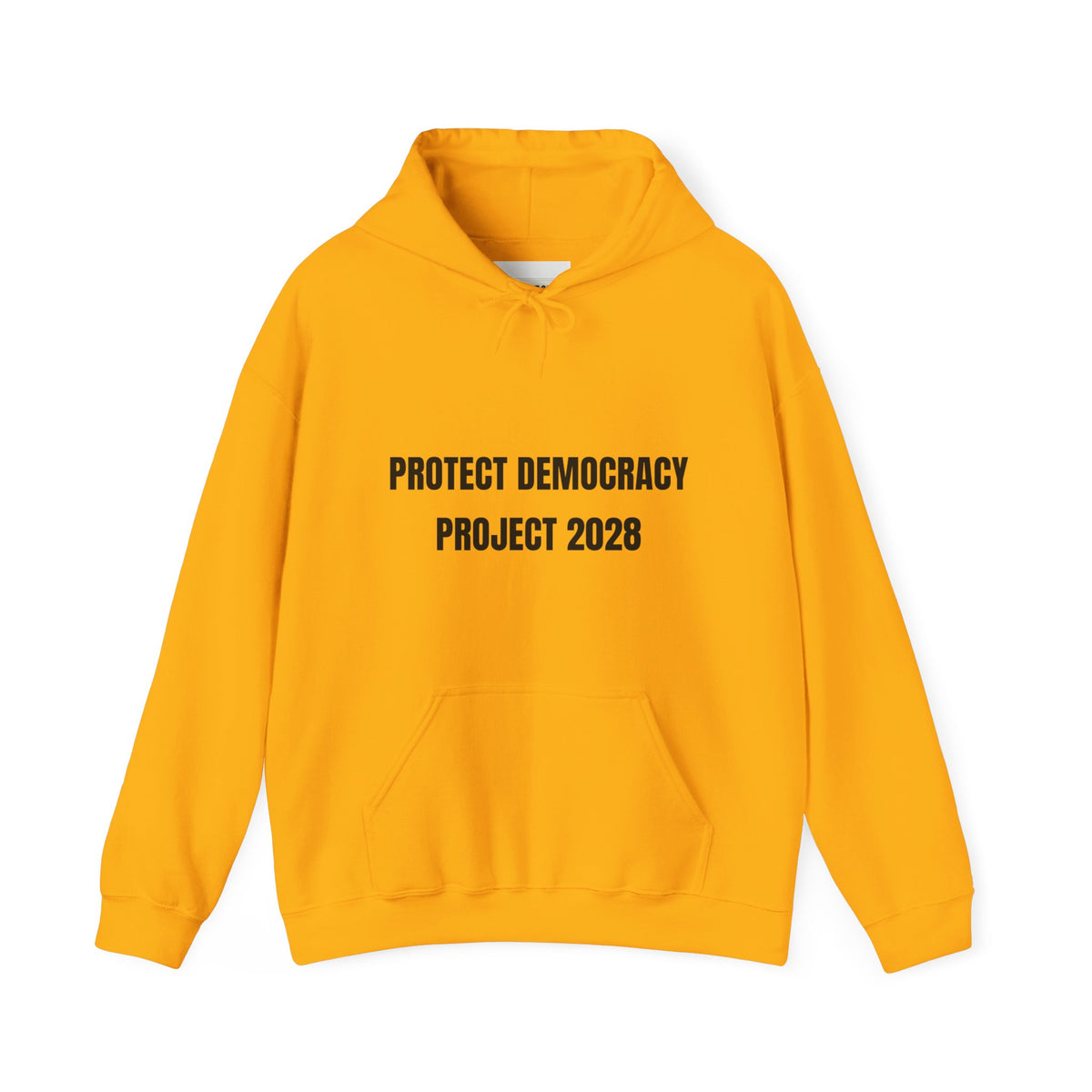 Protect Democracy Project 2028 Hoodie | Social Awareness