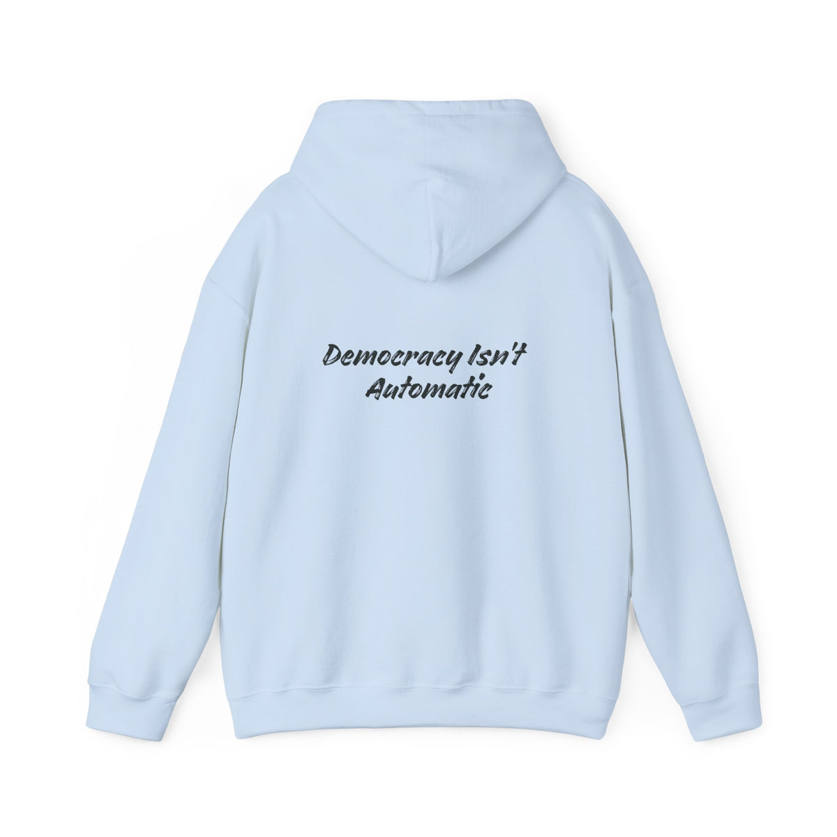 Protect Democracy Project 2028 Hoodie | democracy text design