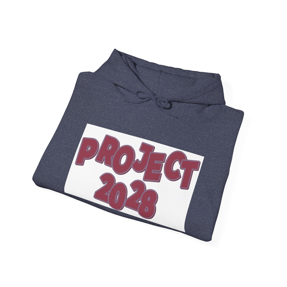 Project 2028 hoodie | Democracy Isn't Automatic back print