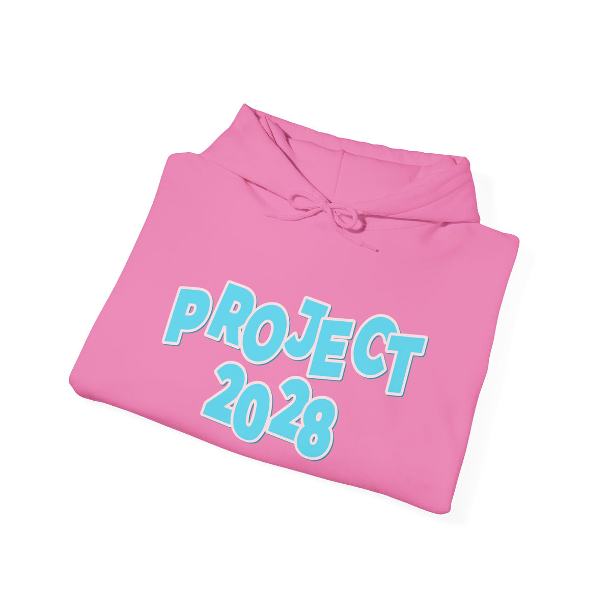 Project 2028 Hoodie | Democracy | Social Awareness