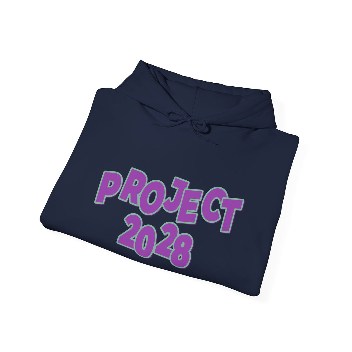 Project 2028 Hoodie | Democracy | Social Awareness