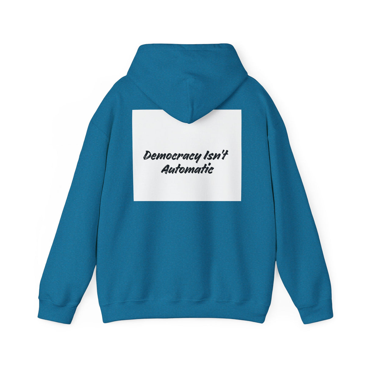 Protect Democracy Project 2028 Hoodie | Social Awareness