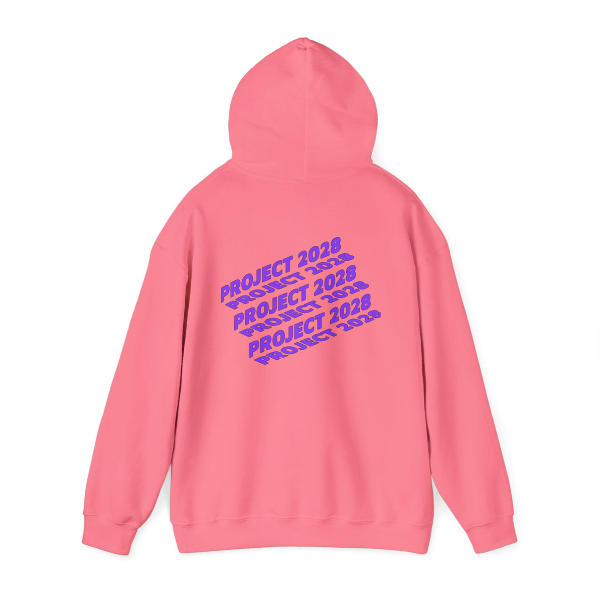 Project 2028 hoodie | Fight Back II text graphic, retro purple pink print