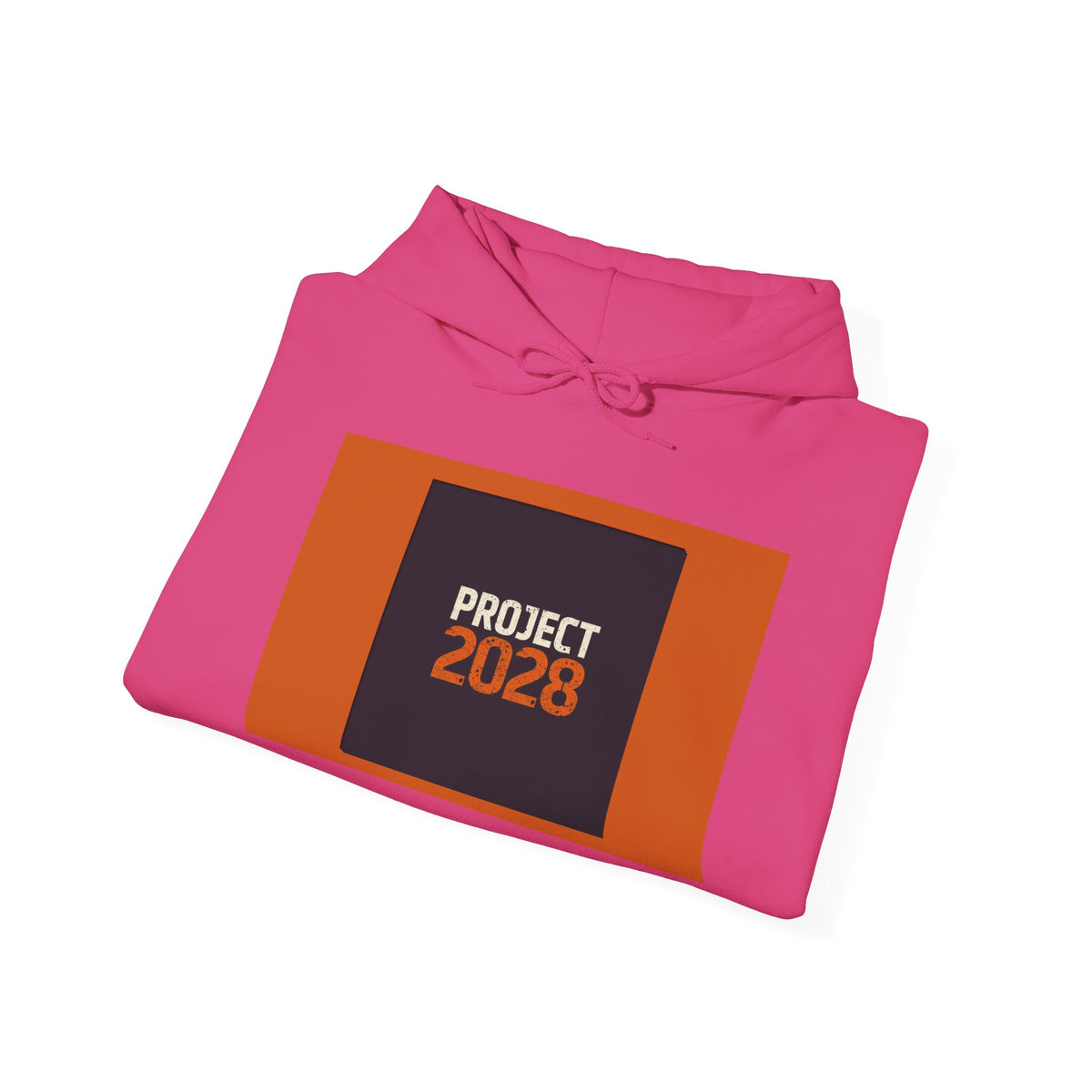 Project 2108 Graphic Hoodie | Democracy Isn't Automatic Back Print