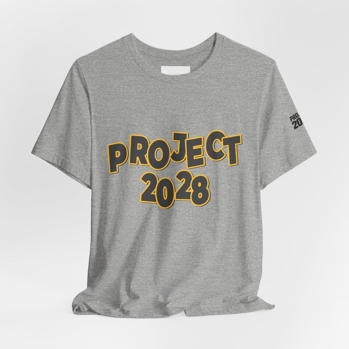 Project 2028 Graphic Tee — "Spirit Airlines Is Gone. Democracy Could Be Next. Vote Blue." Political Statement T-Shirt - Make a Statement Without Saying a Word!