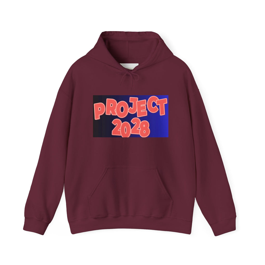 Project 2028 Hoodie | Social Justice