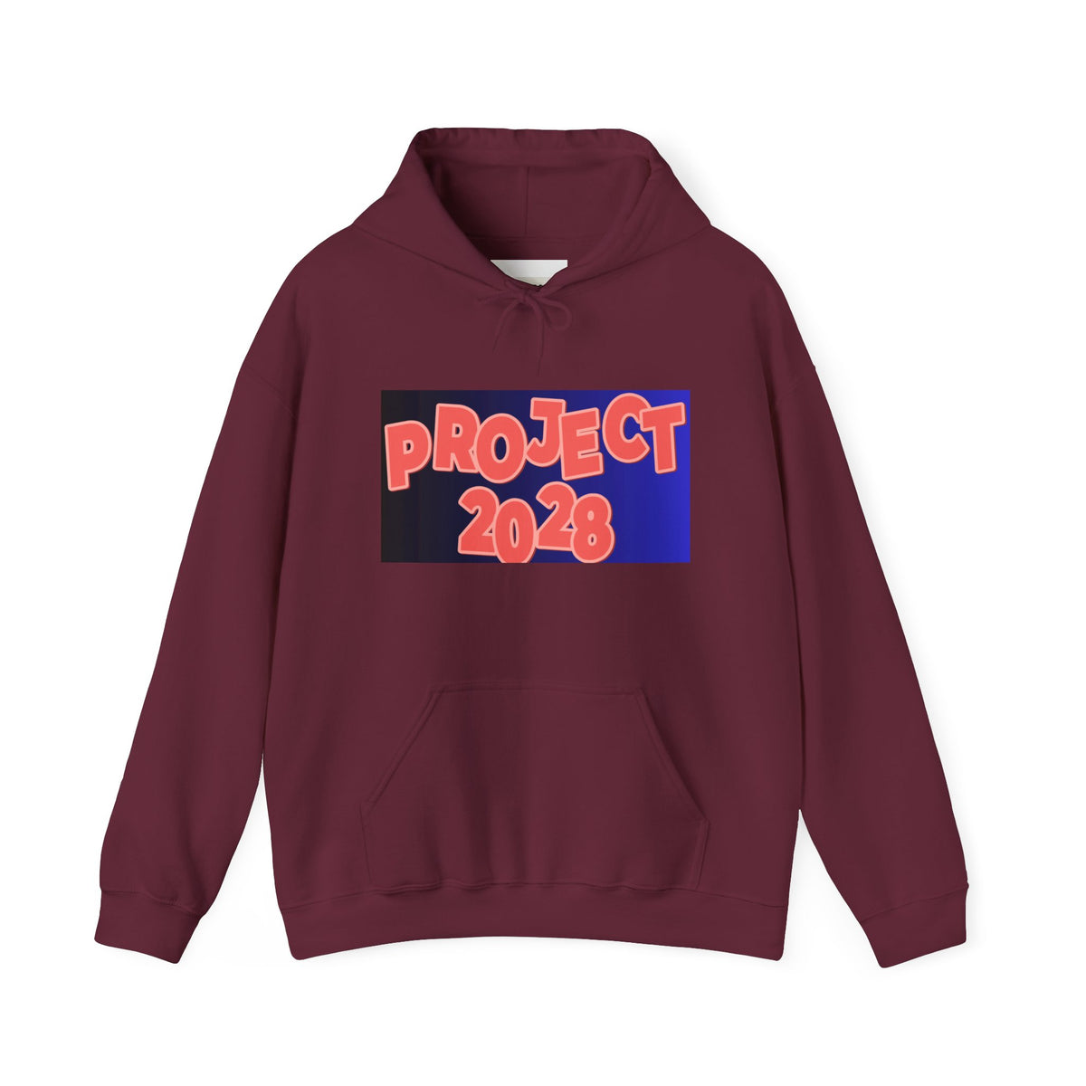 Project 2028 Hoodie | Social Justice