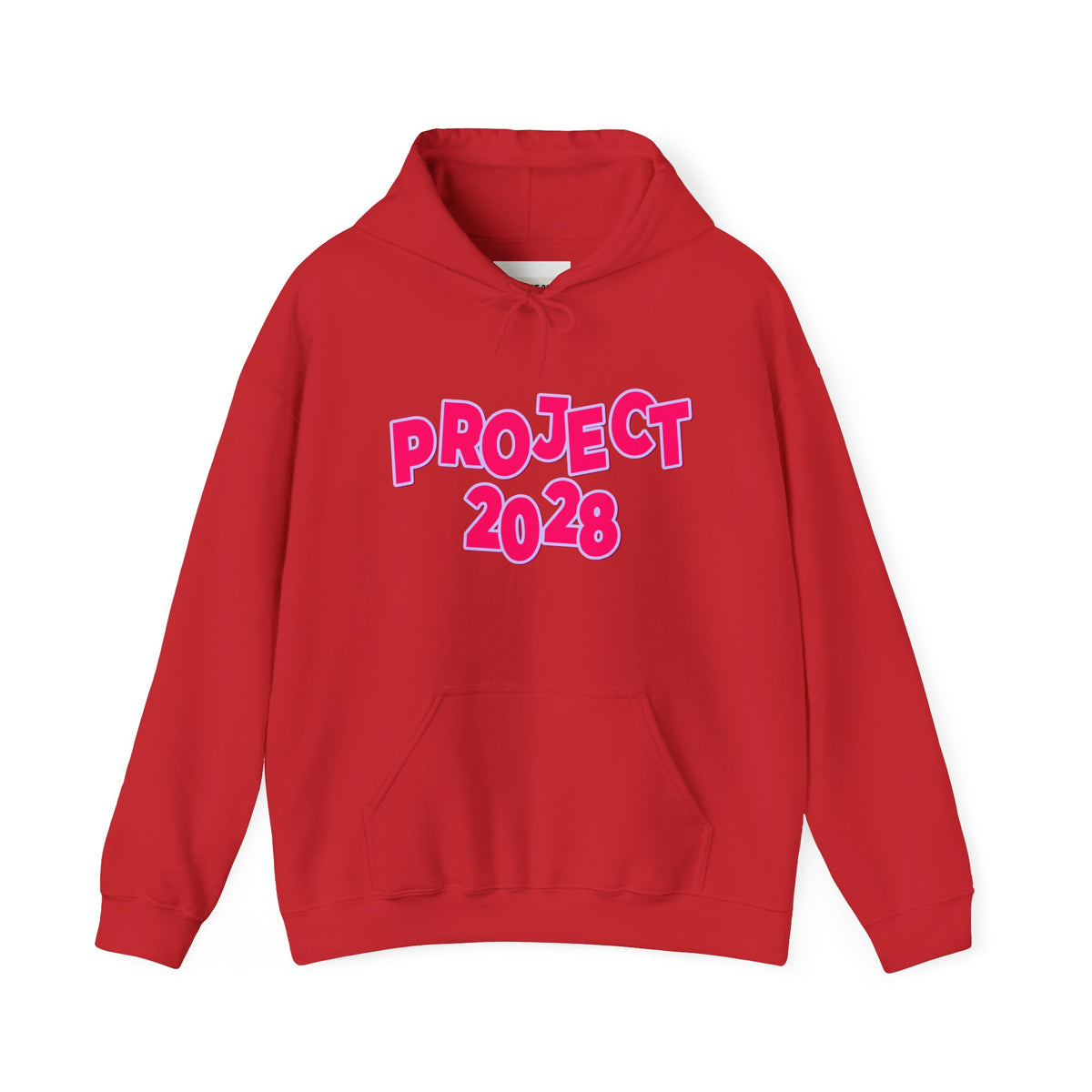 Project 2028 Hoodie | Social Awareness