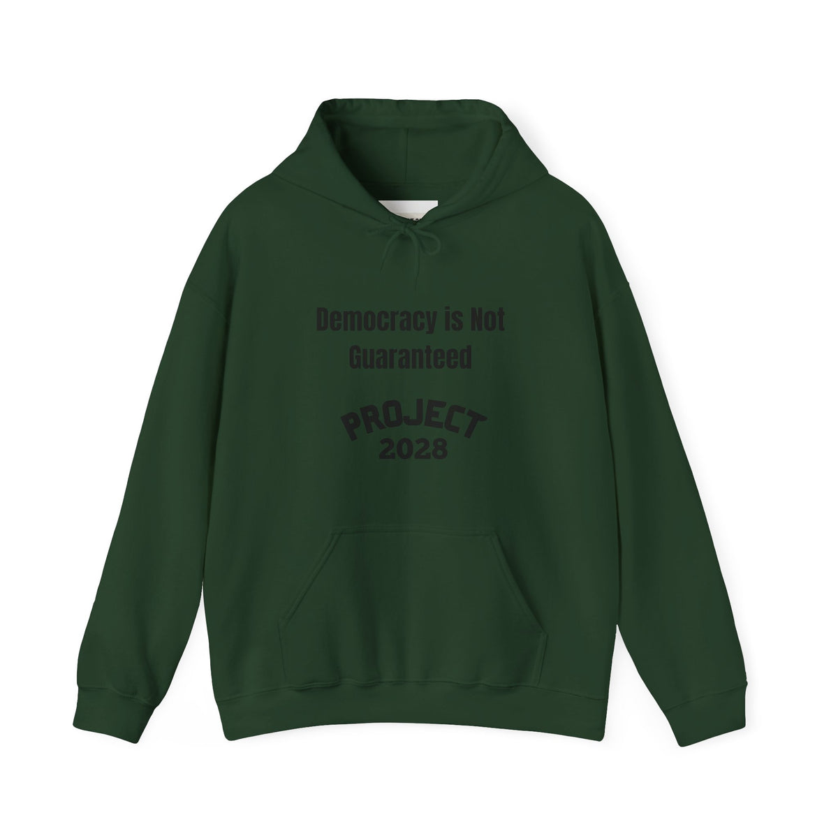 Democracy Isn't Automatic hoodie | Project 2028 slogan hoodie