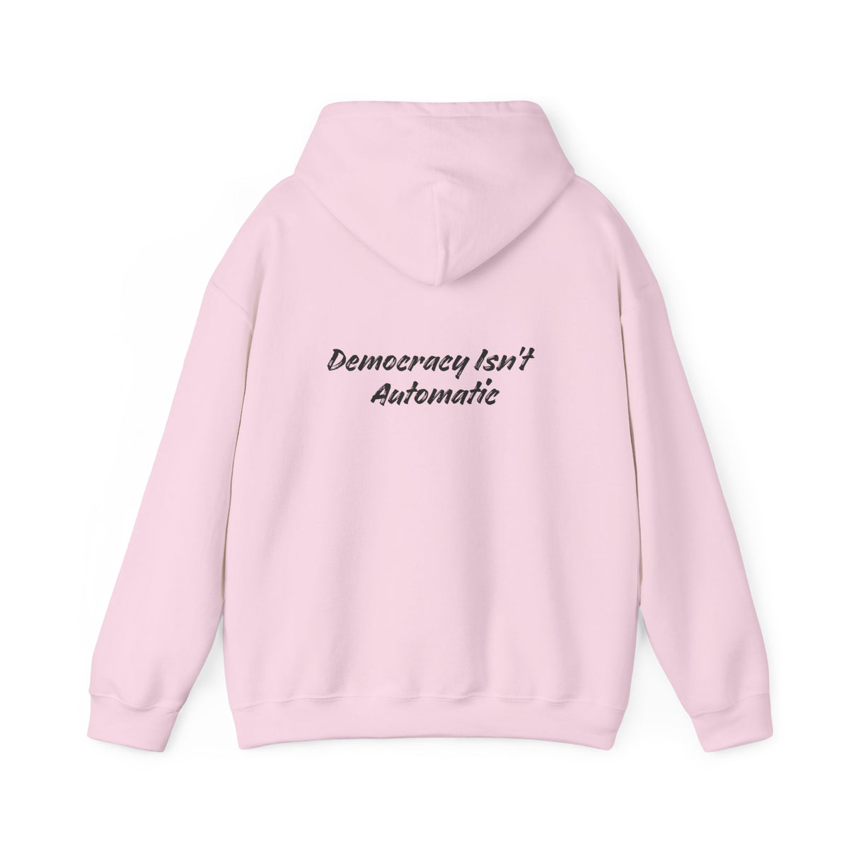 Protect Democracy Project 2028 Hoodie | democracy text design