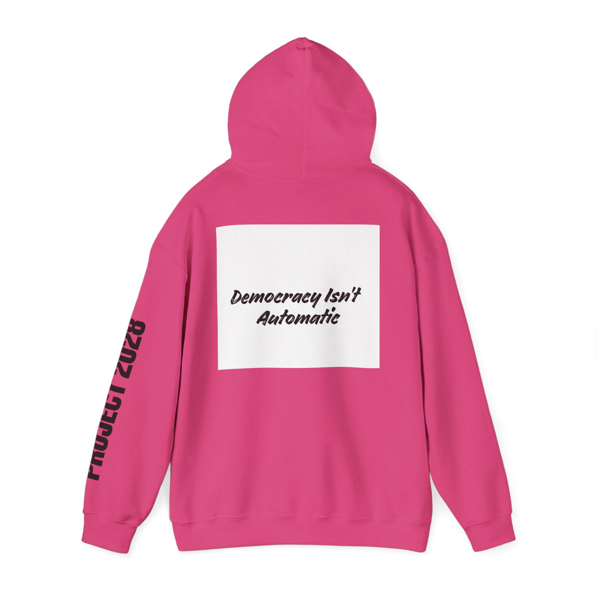 Protect Democracy Project 2028 Hoodie | Social Awareness