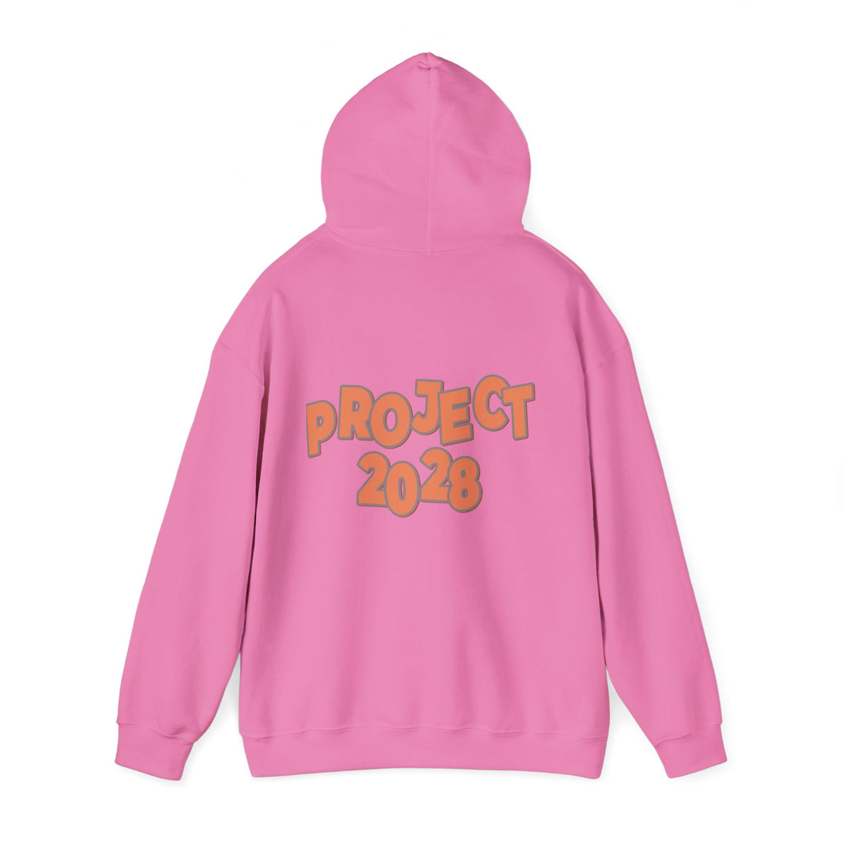 Protect Democracy Project 2028 Hoodie | Social Awareness
