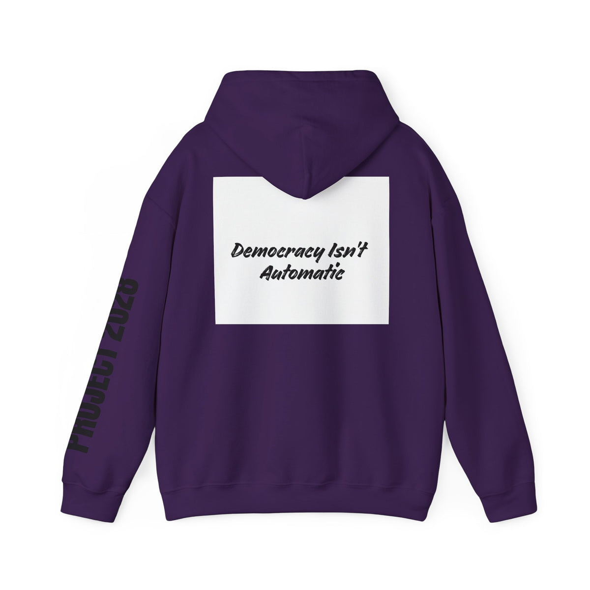 Protect Democracy Project 2028 Hoodie | Social Awareness