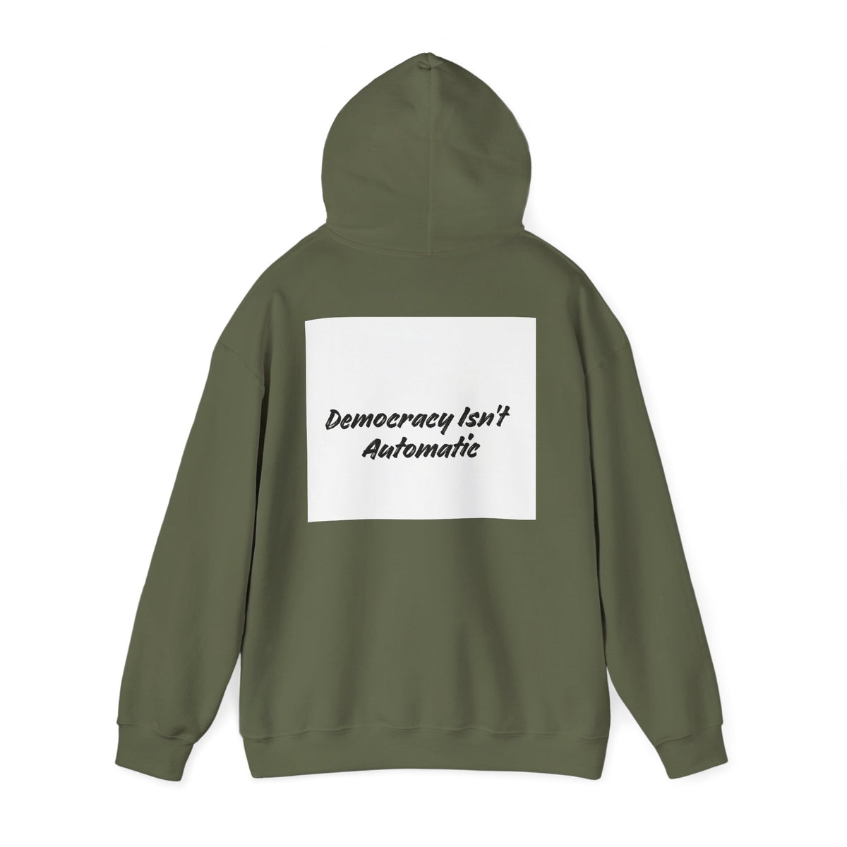 Protect Democracy Project 2028 Hoodie | Social Awareness