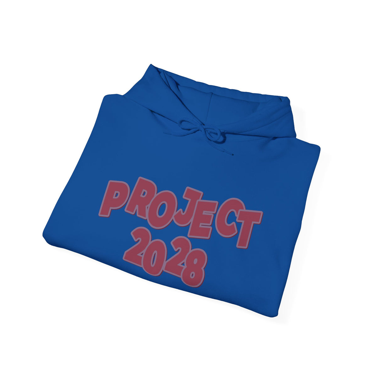 Project 2028 Hoodie | Social Awareness - 2