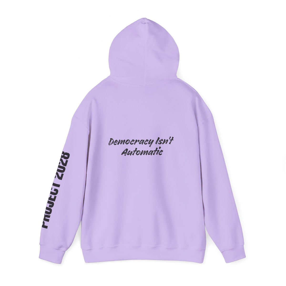 Protect Democracy Project 2028 Hoodie | Social Awareness