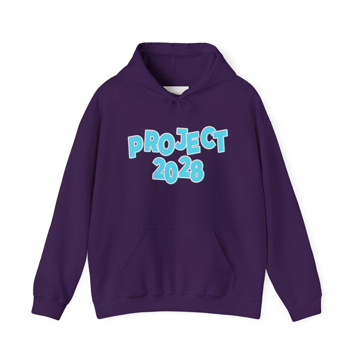 Project 2028 Hoodie | Democracy | Social Awareness
