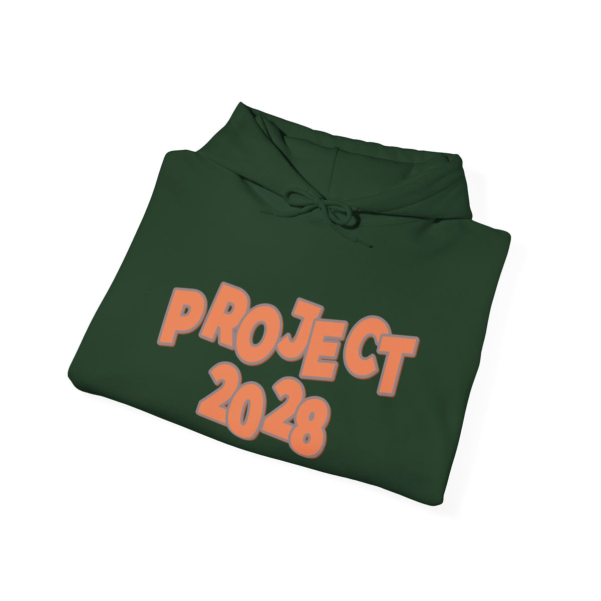 Project 2028 Hoodie | Democracy | Social Justice Message