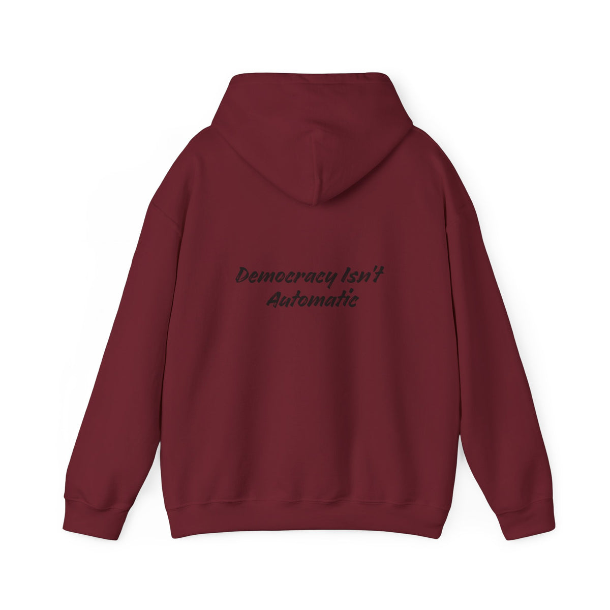 Copy of Project 2028 hoodie | Democracy | Social Awareness