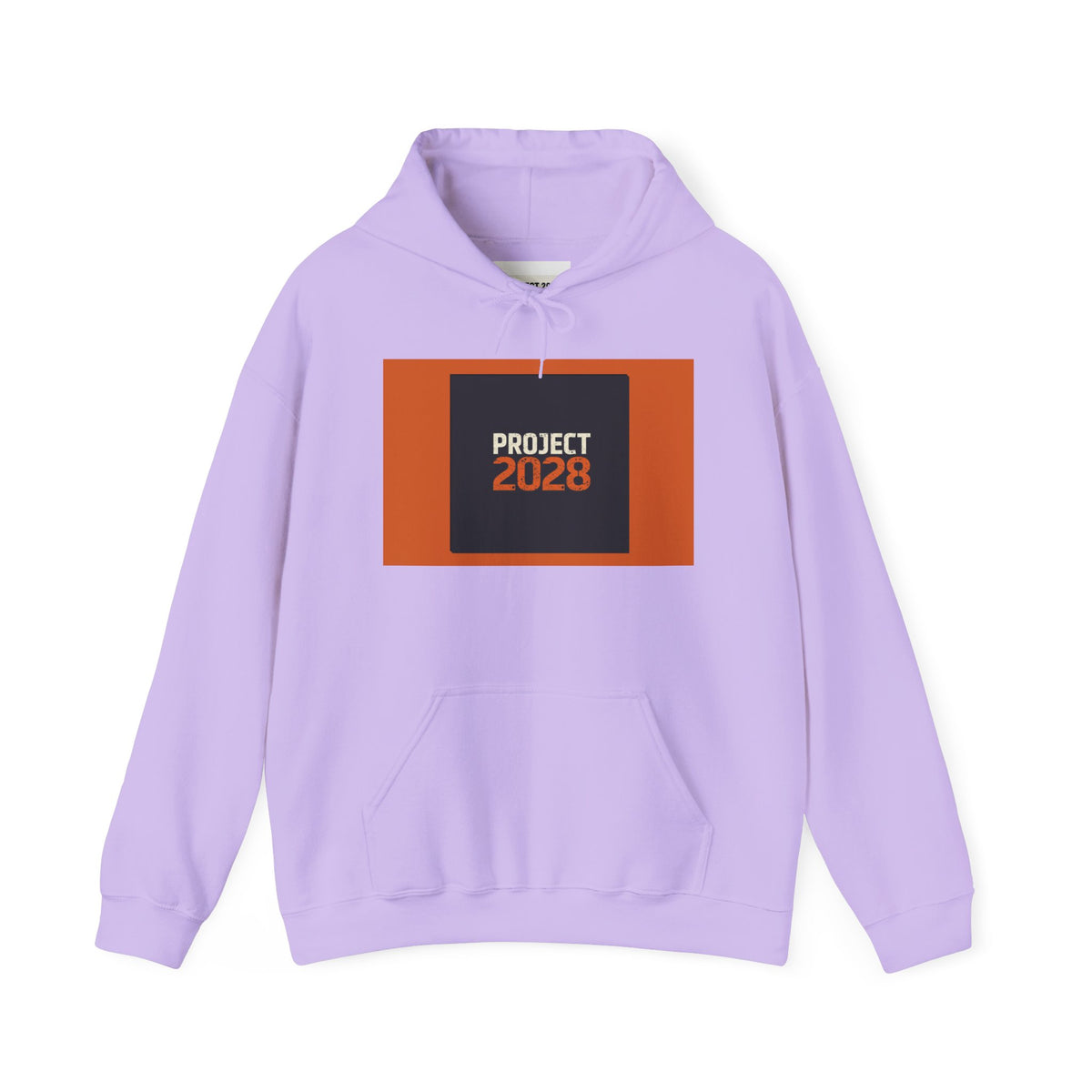 Copy of Copy of Project 2028 Graphic Hoodie | Democracy