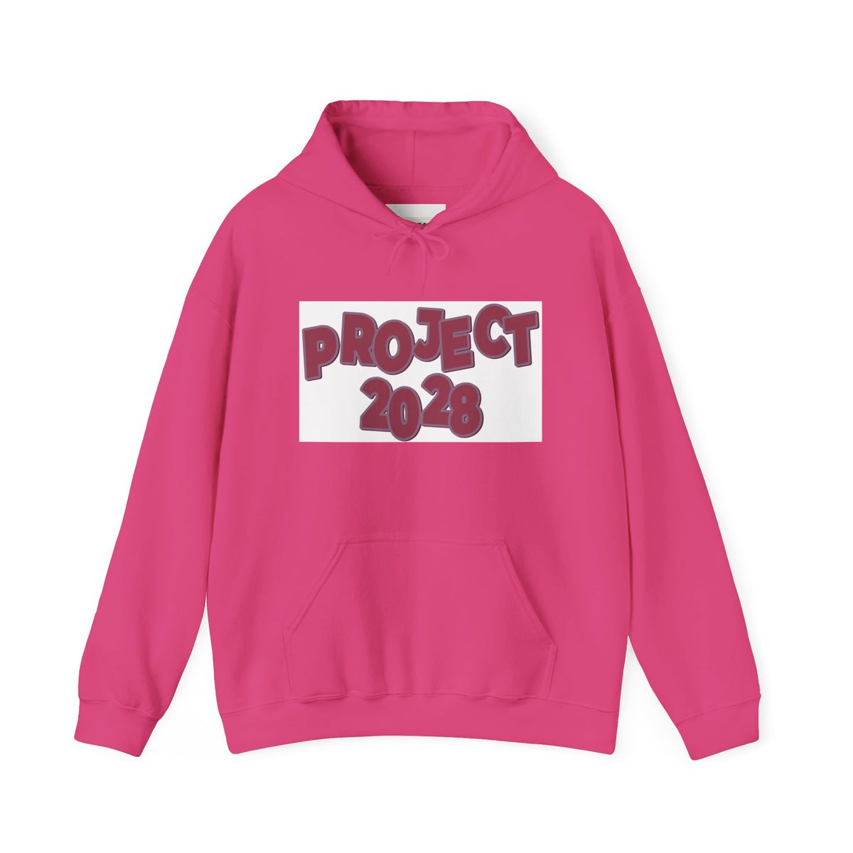 Project 2028 hoodie | Democracy Isn't Automatic back print