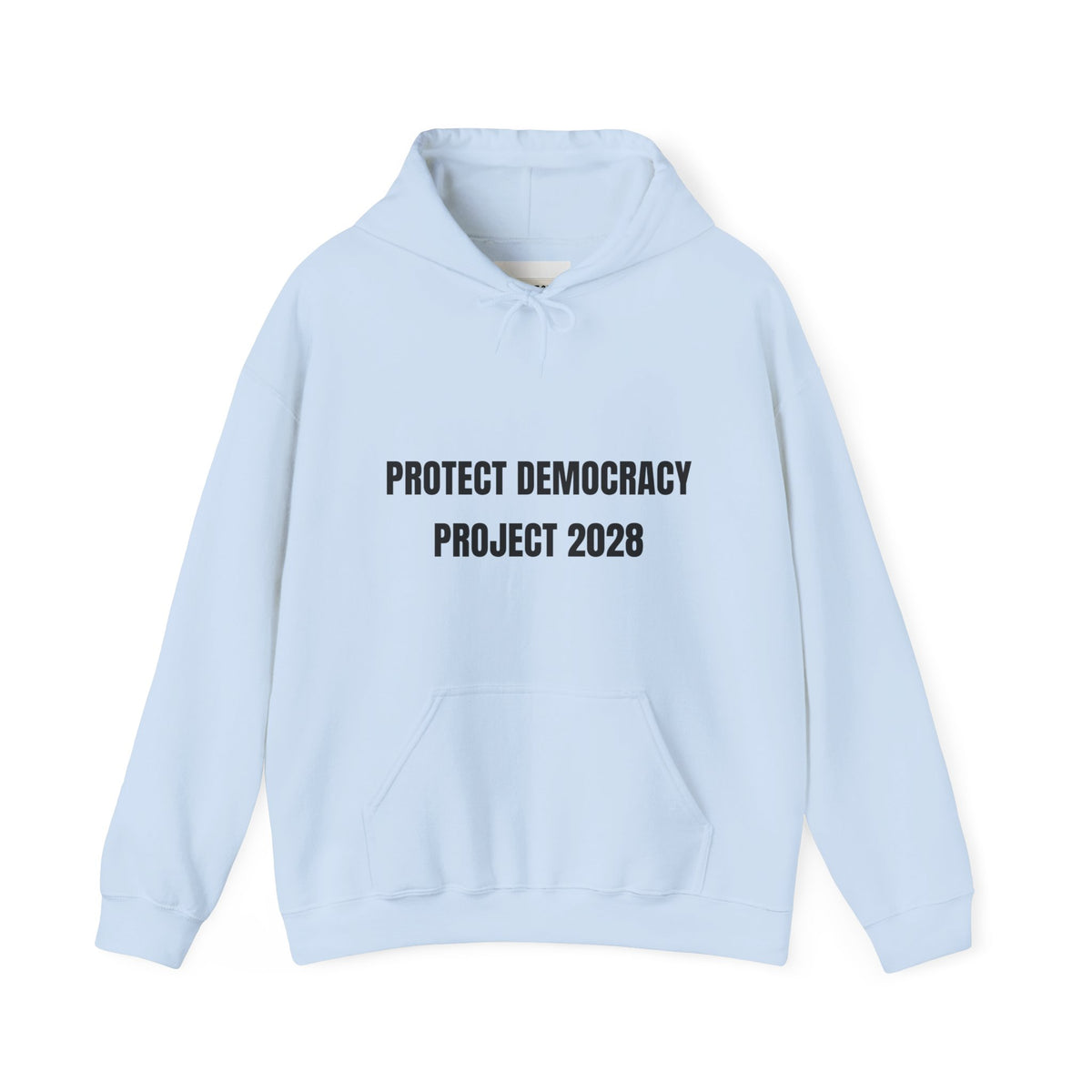 Protect Democracy Project 2028 Hoodie | democracy text design