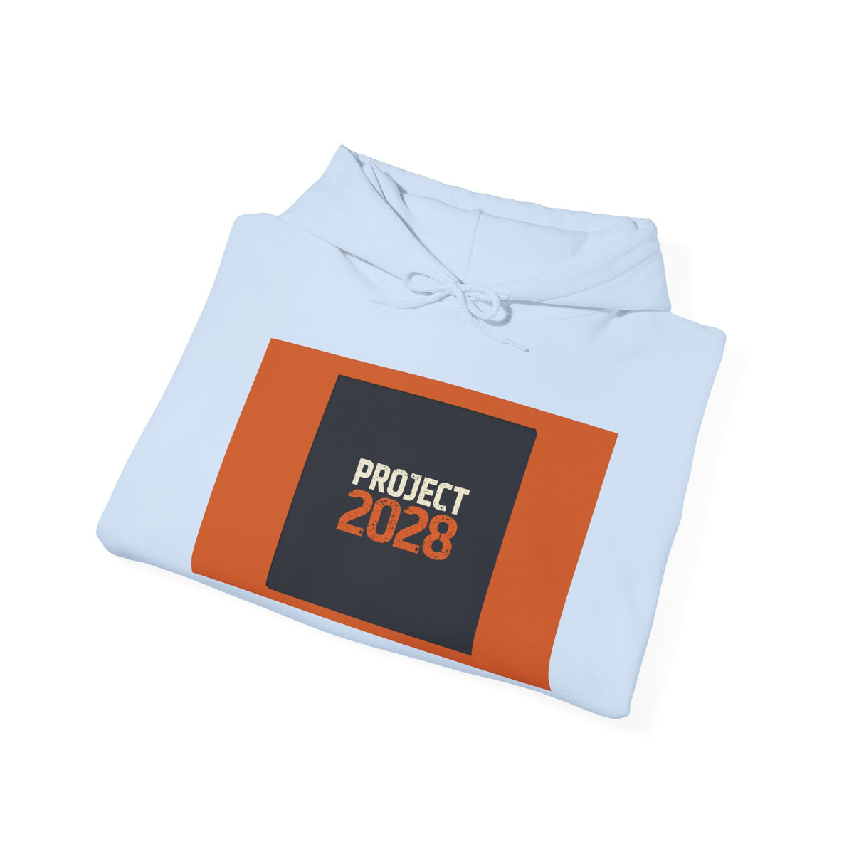 Project 2108 Graphic Hoodie | Democracy Isn't Automatic Back Print