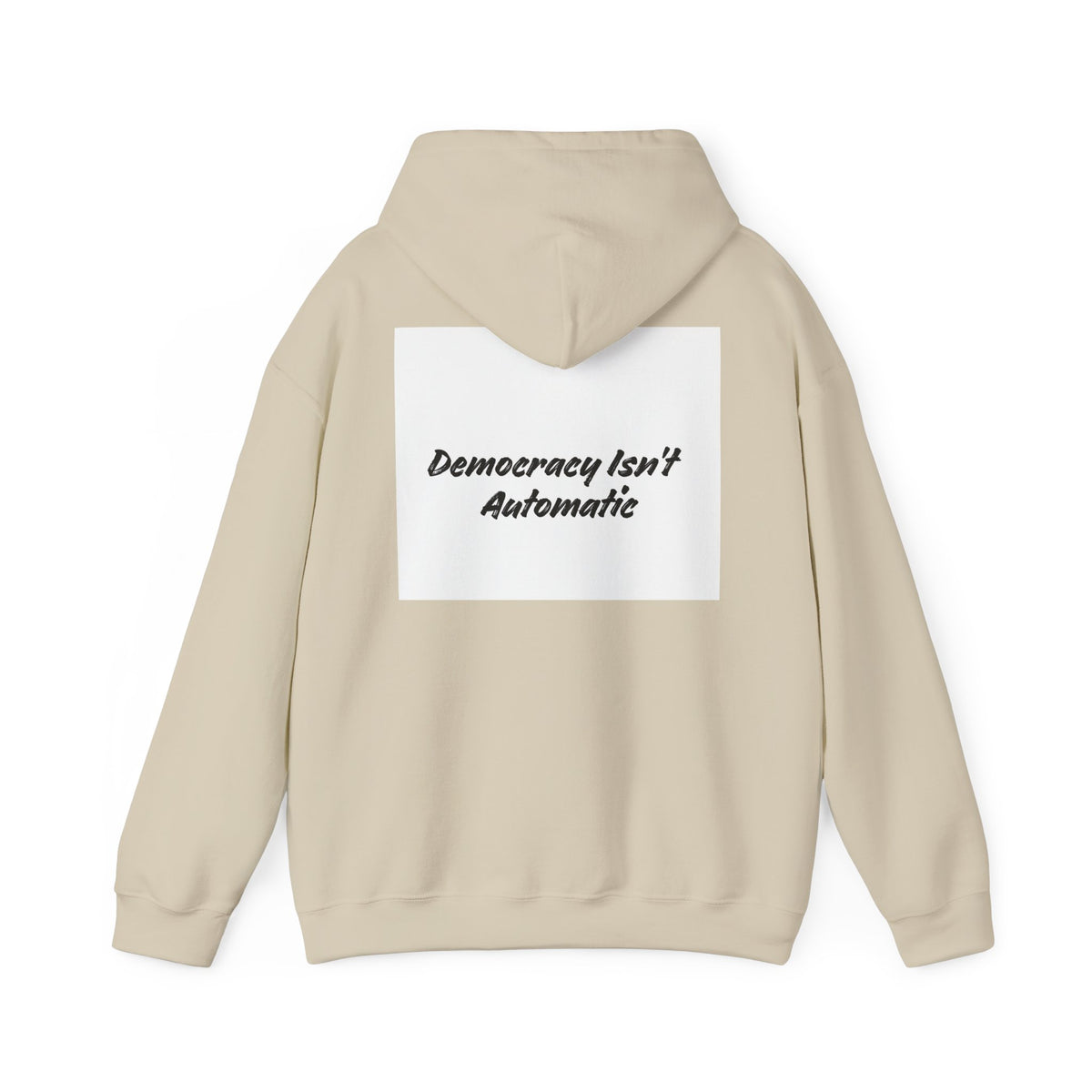Protect Democracy Project 2028 Hoodie | Social Awareness