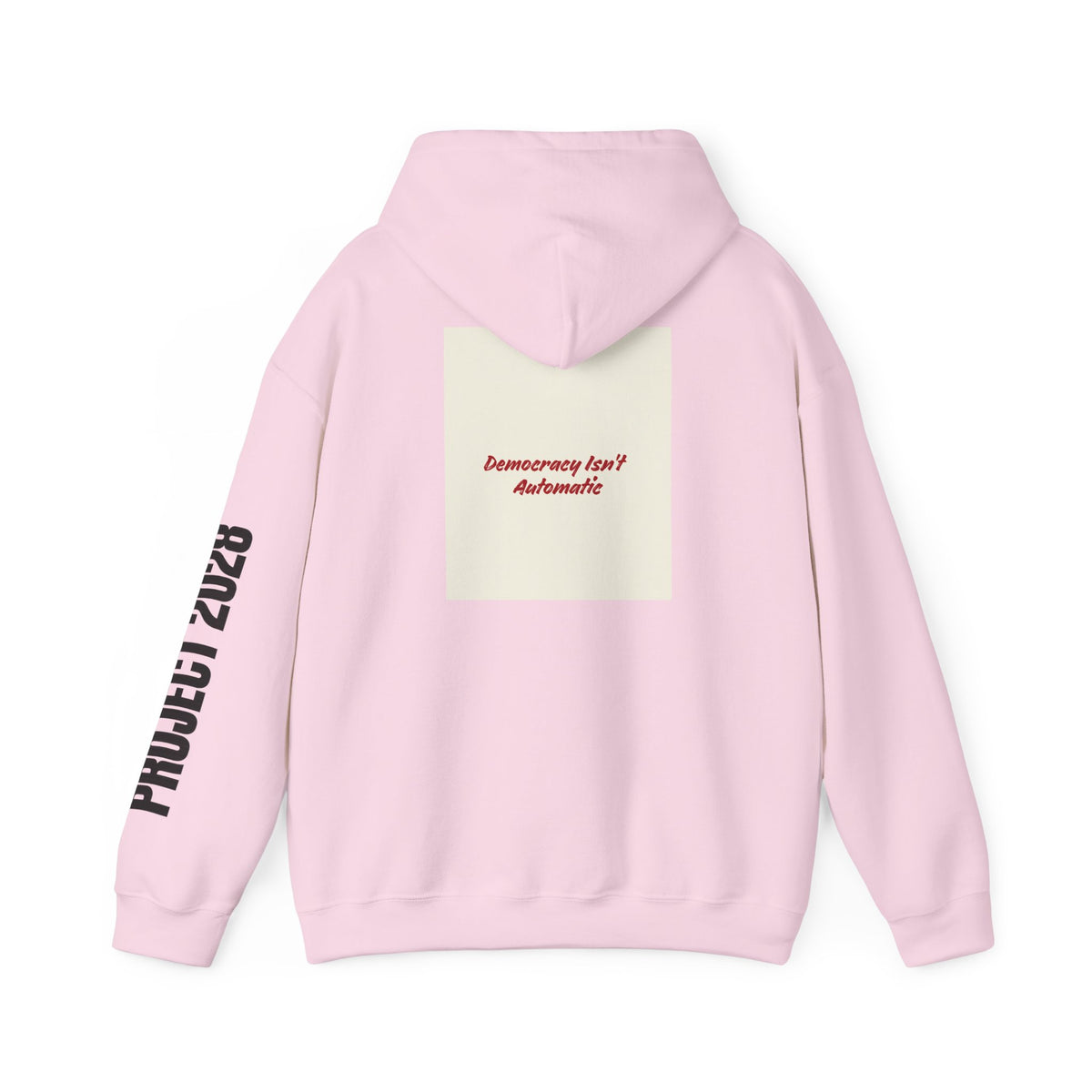 Product 2028 graphic hoodie | Democracy | Social Justice