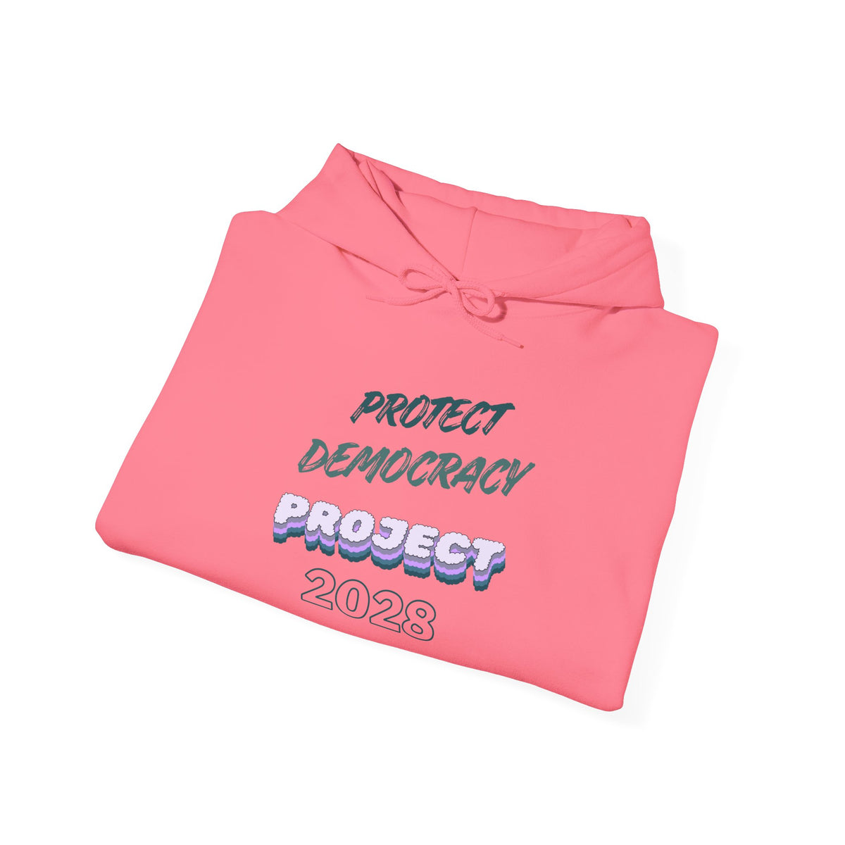 Project 2028 Hoodie | Protect Democracy, Project 2028 design