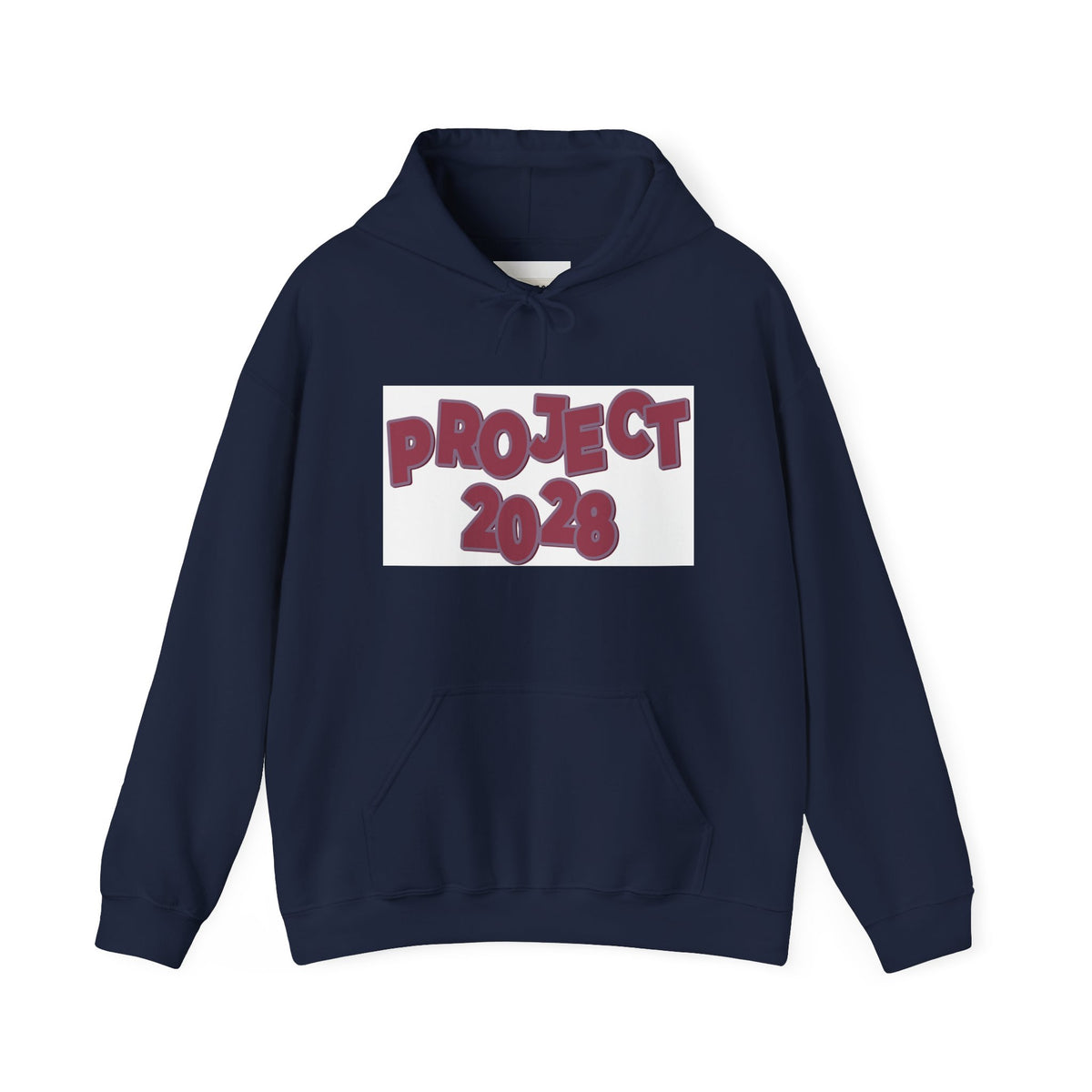 Project 2028 hoodie | Democracy Isn't Automatic back print