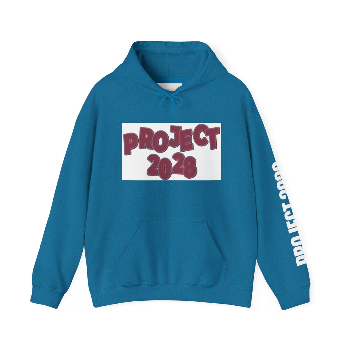 Project 2028 hoodie | Democracy Isn't Automatic back print