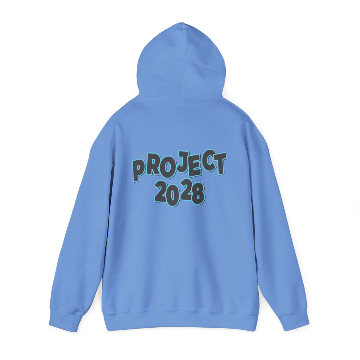 Project 2028 Hoodie | Protect Democracy, Project 2028 design
