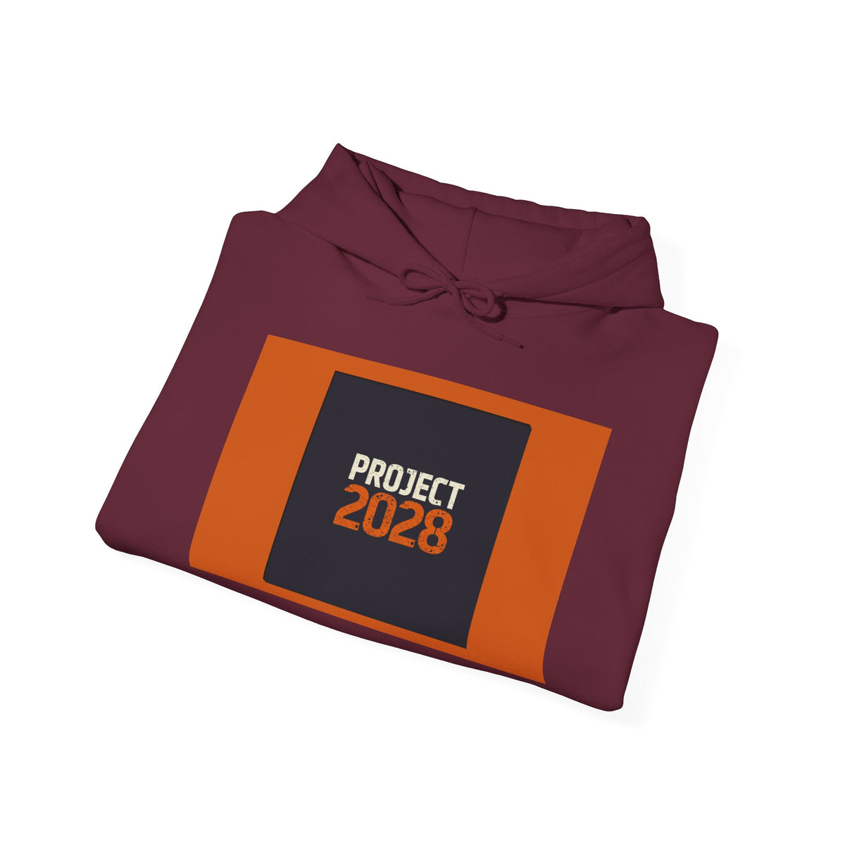 Project 2028 Graphic Hoodie | Democracy