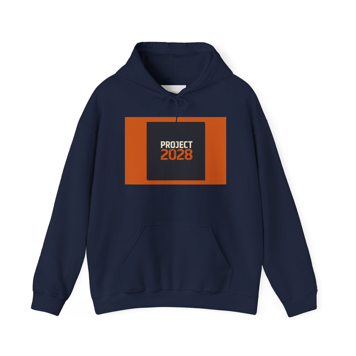 Project 2108 Graphic Hoodie | Democracy Isn't Automatic Back Print