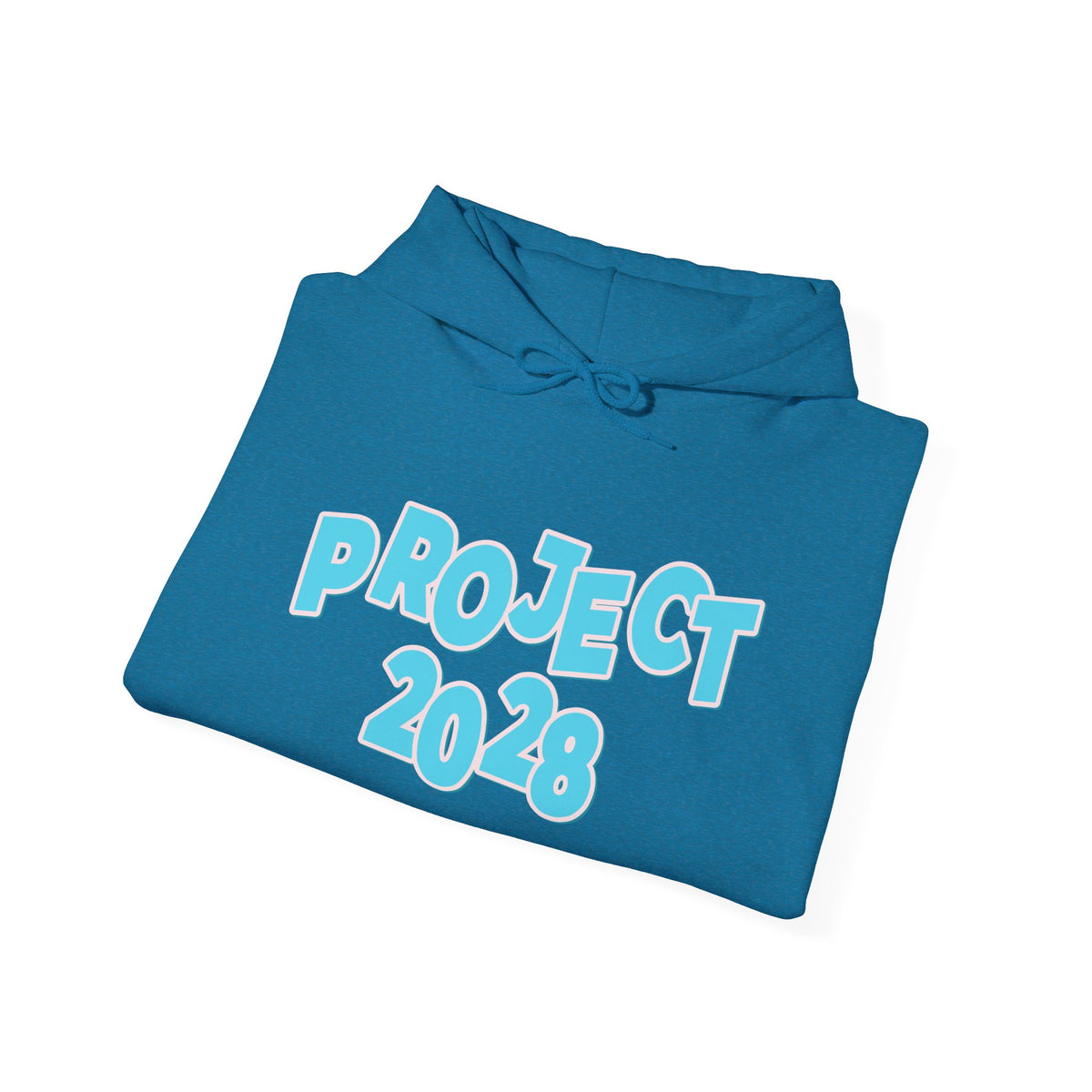 Project 2028 Hoodie | Democracy | Social Awareness