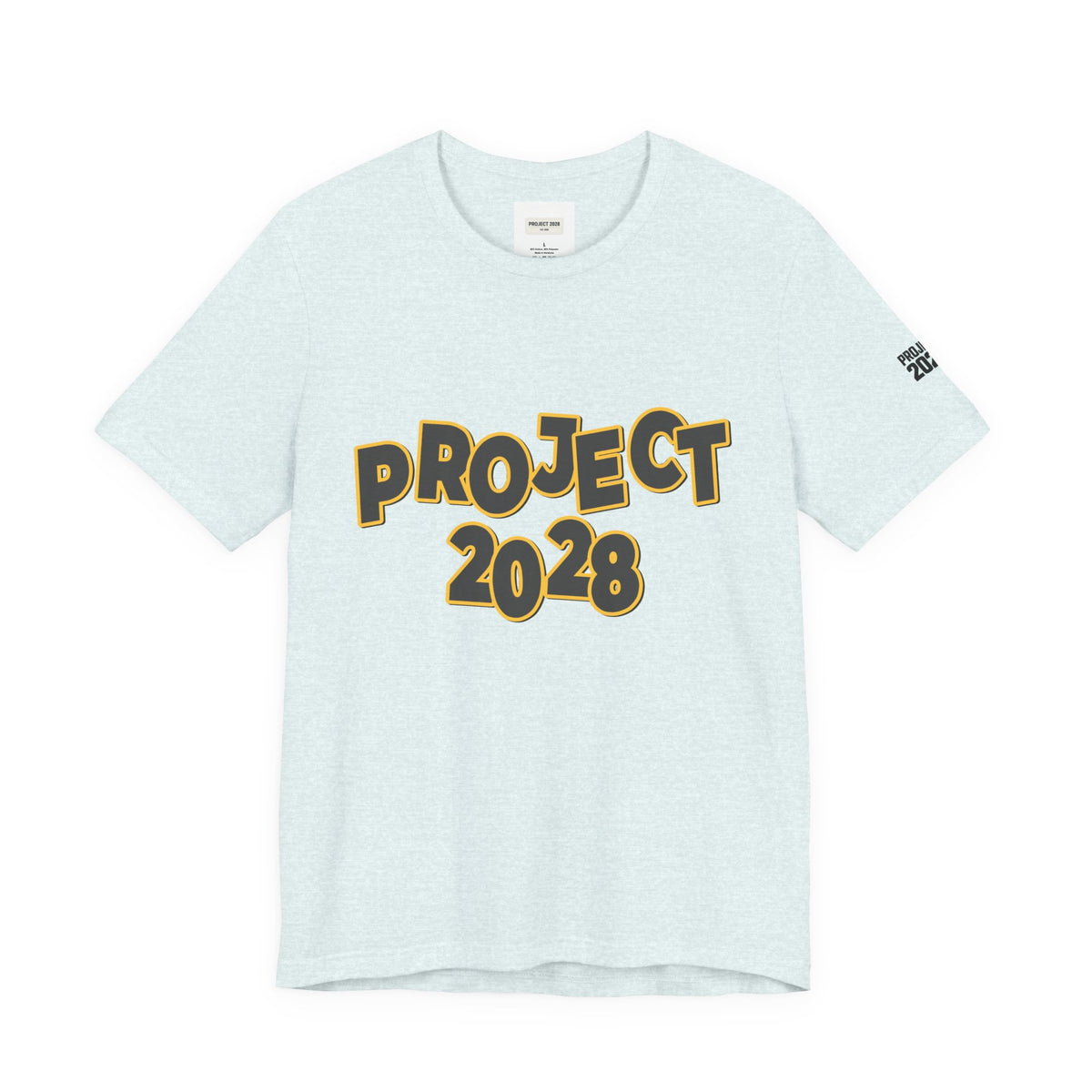 Project 2028 Graphic Tee — "Spirit Airlines Is Gone. Democracy Could Be Next. Vote Blue." Political Statement T-Shirt - Make a Statement Without Saying a Word!