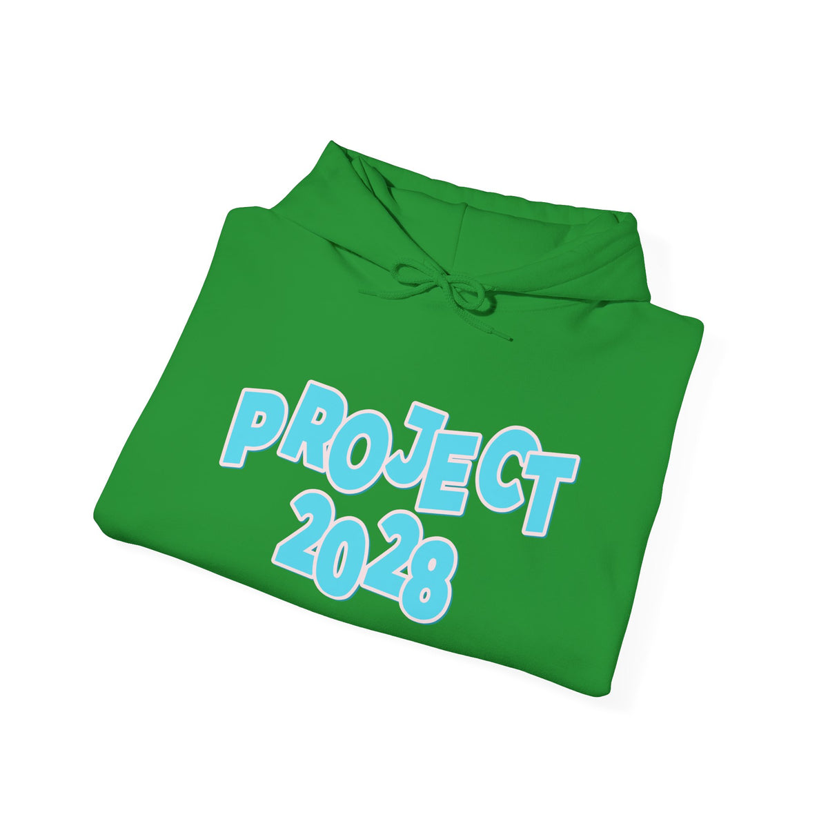 Project 2028 Hoodie | Democracy | Social Awareness