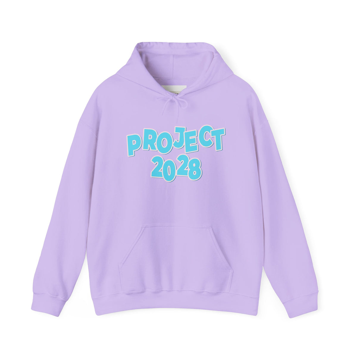 Project 2028 Hoodie | Democracy | Social Awareness