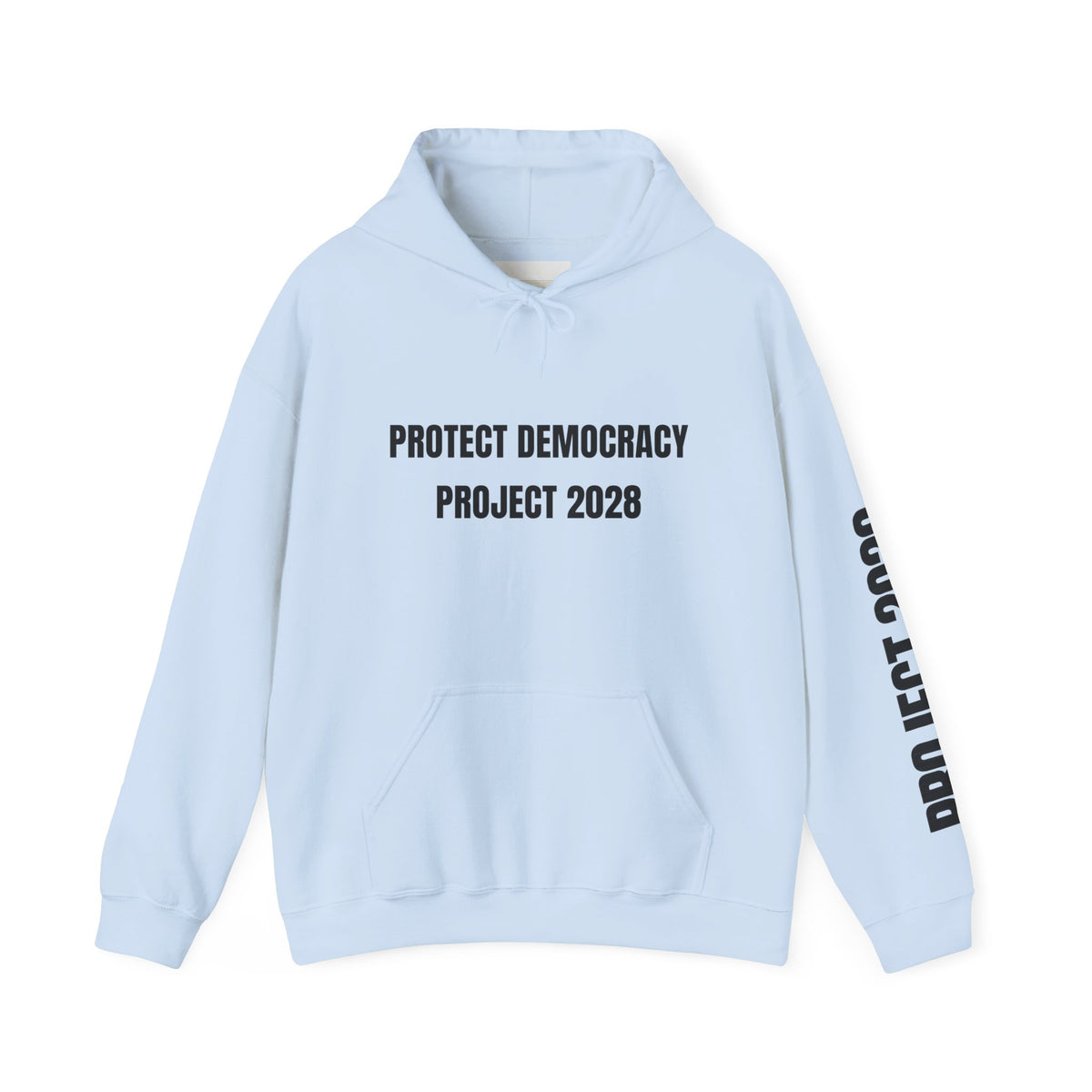 Protect Democracy Project 2028 Hoodie | Social Awareness